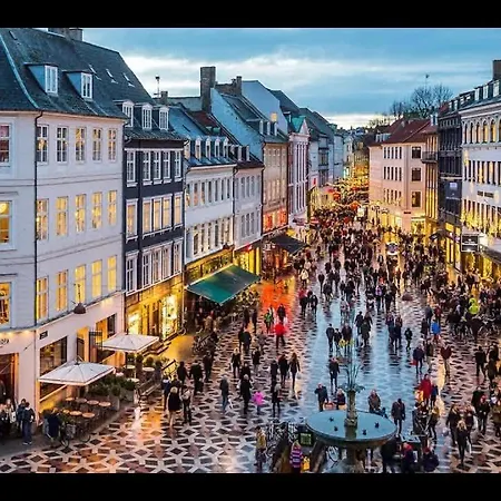 2br Oasis In The Heart Of Cph コペンハーゲン